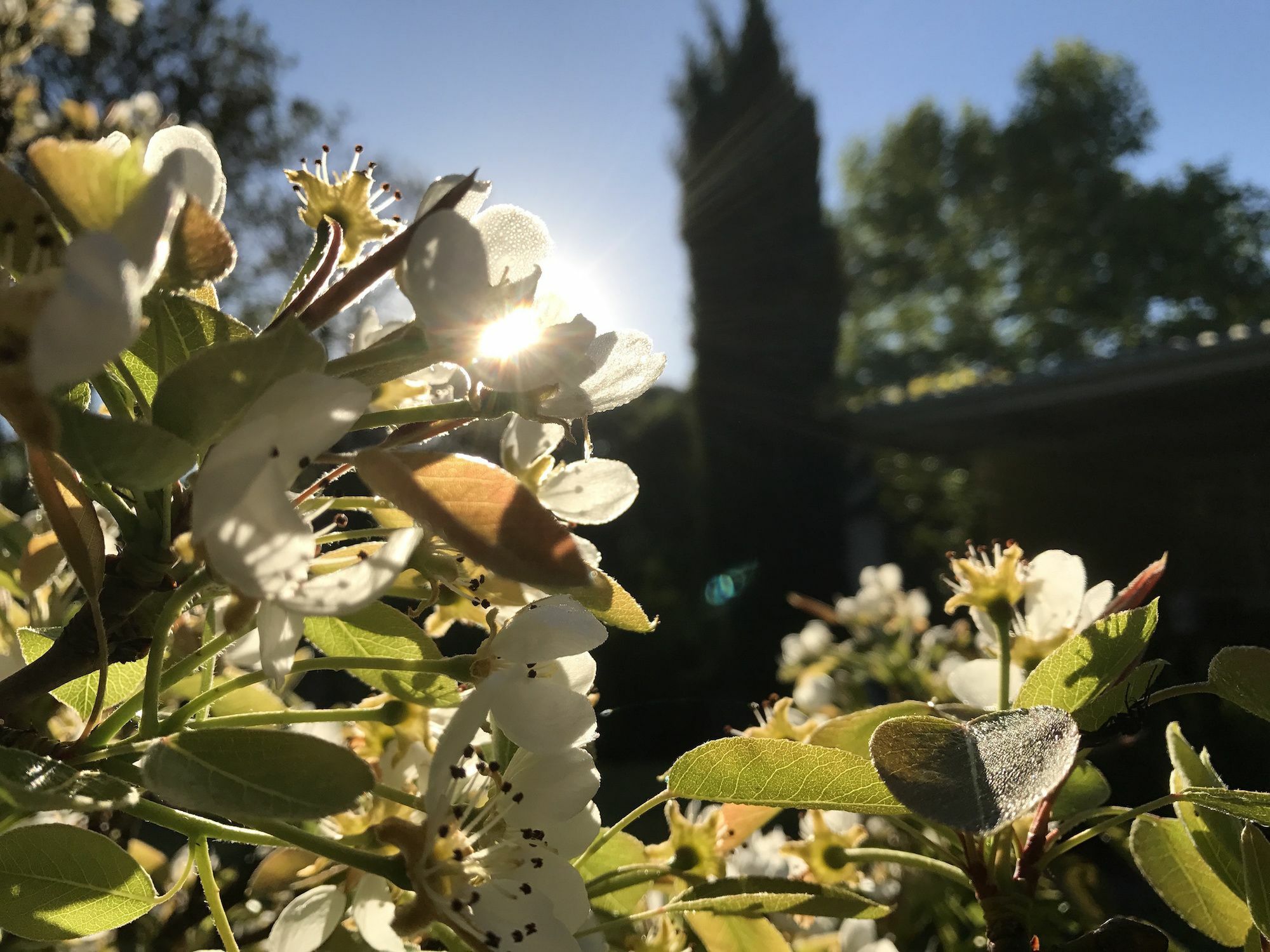 Constantia Spring住宿加早餐旅馆 外观 照片