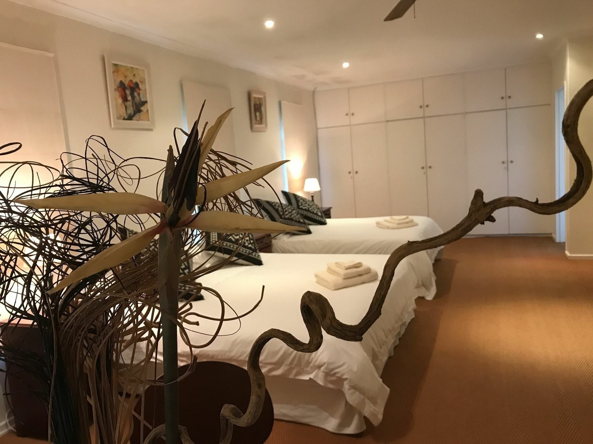Constantia Spring住宿加早餐旅馆 外观 照片
